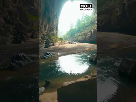 V&igrave; sao tour Sơn Đo&ograve;ng phải đến năm 2023 mới c&oacute; chỗ trống? | Moli Discovery #shorts
