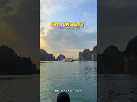 Unforgettable night on Halong Bay! 🌊⛵ #HalongBay #HalongBayCruise #VietnamTravel #OvernightCruise
