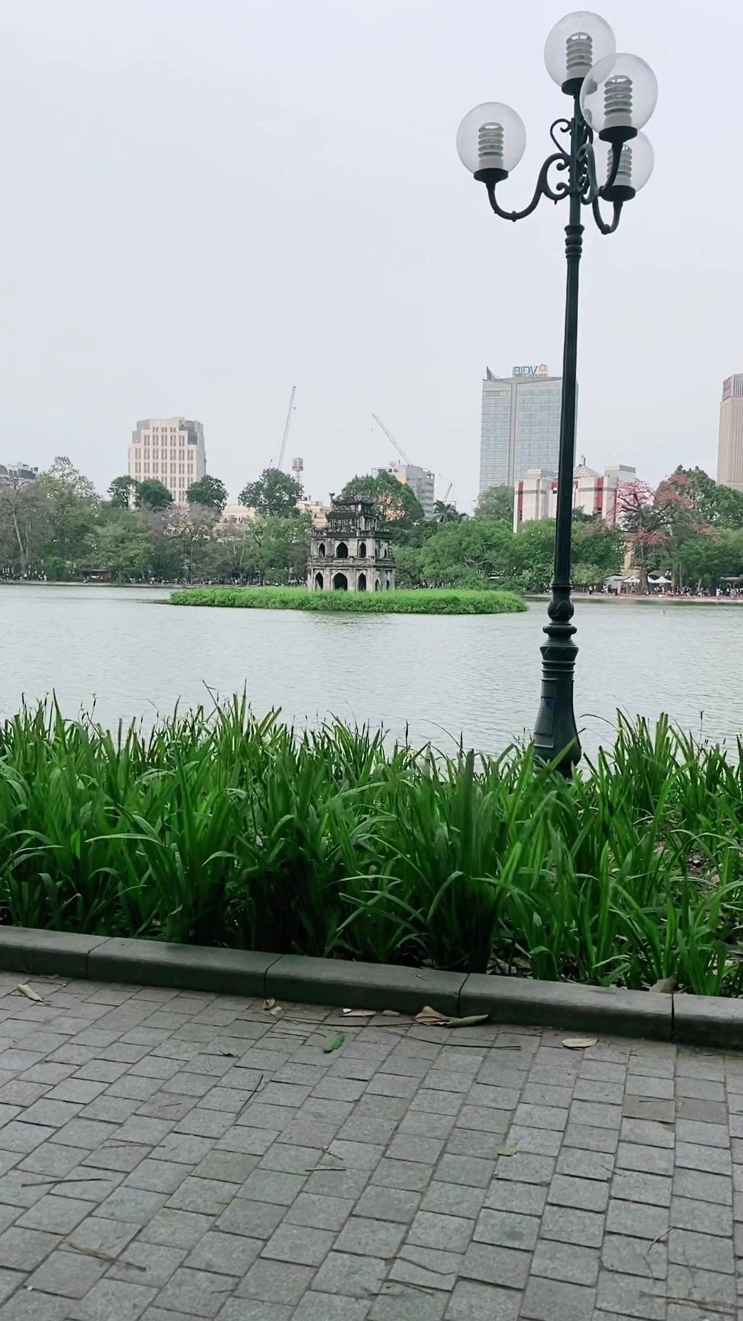 Mu first week as student in hanoi 🤓