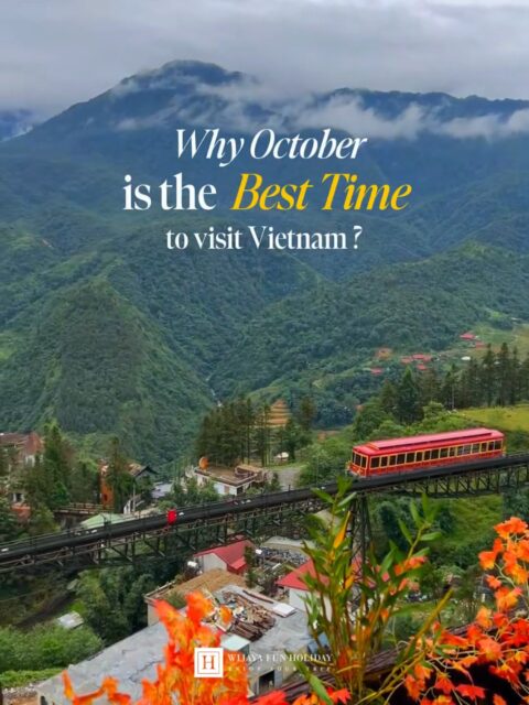 Why October? 🍂  Because Vietnam is at its most beautiful this month! From golden rice terraces in Sapa, clear skies over Ha Long Bay, to the charming lantern streets of Hoi An &mdash; October is simply the best time to visit 🇻🇳 ✨ Don&rsquo;t miss the chance to experience Vietnam in its golden season. Seats are limited for our October & November trips, so secure yours now!   #mustvisitvietnam #VietnamInOctober #GoldenSeason #SapaRiceTerraces #HaLongBayCruise #HoianLanterns #TravelWithWFH #ExploreVietnam #wijayafunholiday #enjoyyourtrip #vietnamspecialist #tourvietnam #tourvietnammurah