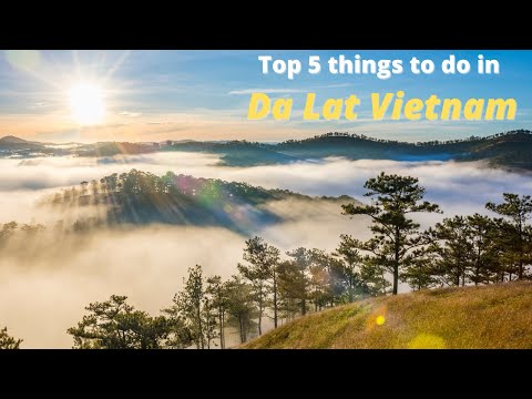 Top 5 things to do in Da Lat Vietnam #Shorts