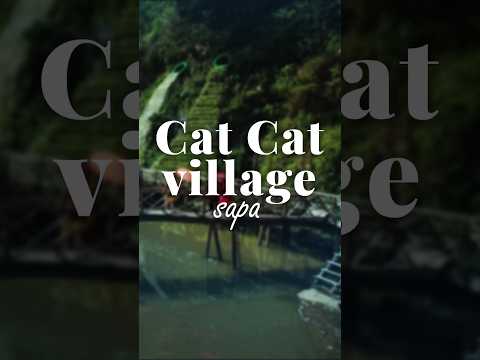 Sapa Cat&nbsp;Cat&nbsp;Village :&nbsp;Exploring&nbsp;Vietnam's&nbsp;Hidden&nbsp;Gem #vietnam #travel #sapa #shorts