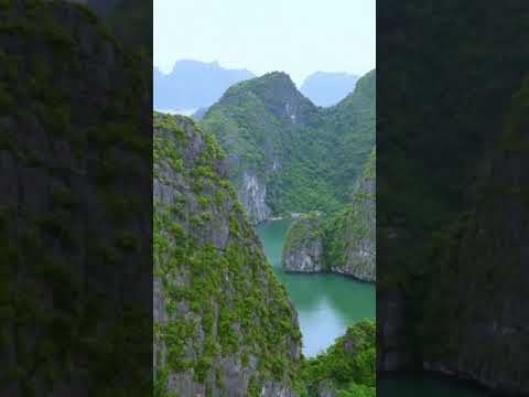 Amazing Catba Island #shorts #vietnam #catbabay #blueswimmeradventures