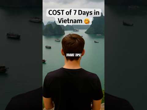 7 day budget adventure to Vietnam #Vietnam #Shorts #traveltips #Budget #youtubeshorts #travel #facts