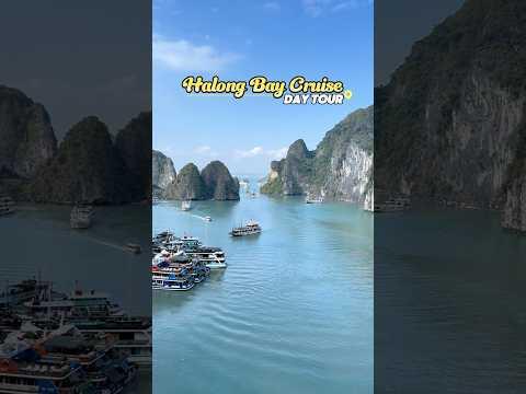 Halong Bay Cruise Day tour in Vietnam 🇻🇳 #vietnam #halongbaytravel #halongbaycruise