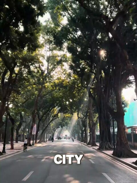 If you went to Hanoi and didn't go to these places, you need to go back! 🇻🇳 #hanoi #visitvietnam #vietnamtravel #budgetfriendly 
