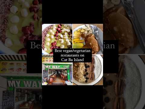 Best vegan/vegetarian restaurants on Cat Ba island in Vietnam #vietnam #catbaisland #shorts #travel