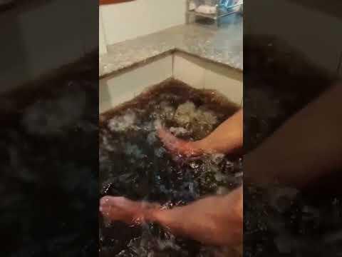 Vietnamese spa massage.  Vung Tau.  Bob Marley. #vietnam #travel #funnyvideo #funny #shorts