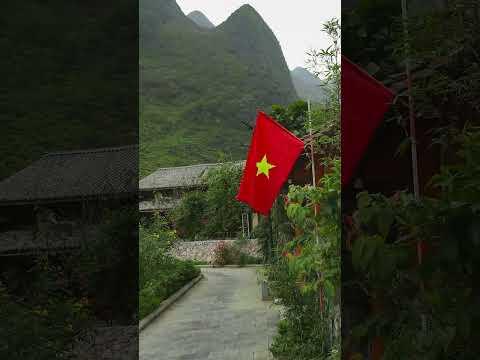 L&agrave;ng Pả Vi M&egrave;o Vạc H&agrave; Giang #shorts