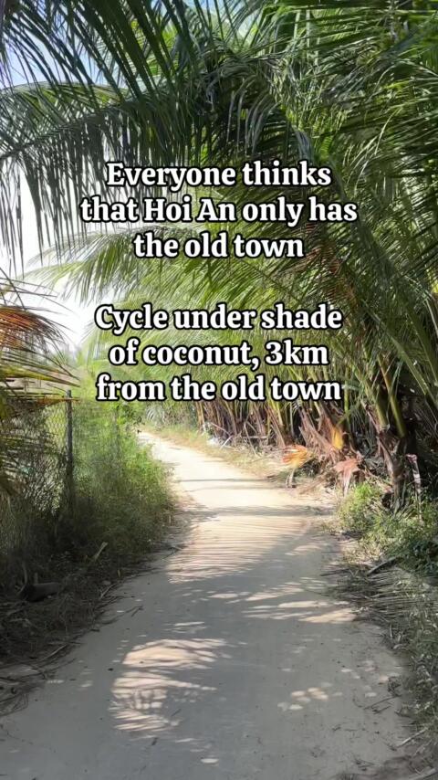 You could spend endless time in Hoi An &mdash; cycling through rice fields and the peaceful countryside. But if you want to make the most of your time here, I offer a Hoi An Old Town and Food Tour. It&rsquo;s a relaxed experience, with no rush &mdash; just stories behind the beauty of Hoi An #hoianvietnam #hoian #hoiantrip 