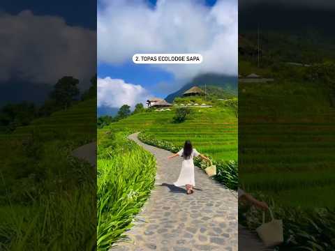 Best hotel in Sapa, Vietnam 🇻🇳 #shorts #travel #fyp