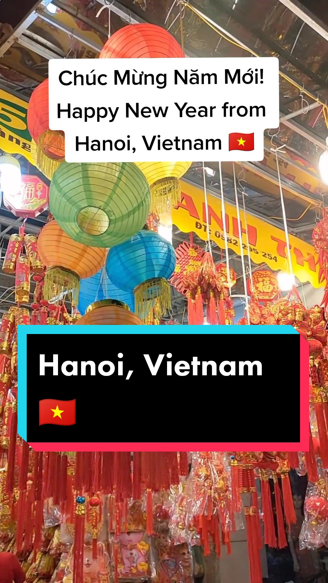 Tet Festival - Lunar New Year in Hanoi 🇻🇳 #vietnam #hanoi #tet #tetnguyendan2023 #tetnguyendan #tethanoi #tetvietnam #lunarnewyear #cny #cny2023 #fyp #travel #nightmarket 