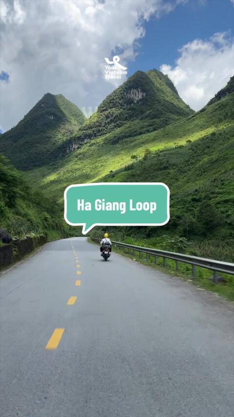 Ha Giang Loop = Vietnam&rsquo;s ultimate adventure 🏍️🌄 4 days, endless curves, jaw-dropping views &ndash; this is not just a trip, it&rsquo;s a lifetime memory. 👉 Would you dare to ride the Loop? #HaGiangLoop #TravelVietnam #AdventureTime #MotorbikeTrip #BucketList