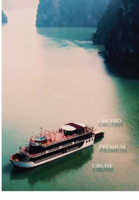 Escape, explore, and create memories that will last a lifetime with Orchid Premium Cruise | #vietnam #halongbay #cruise #halongbaycruise #orchidpremiumcruise #halongbayluxurycruises 