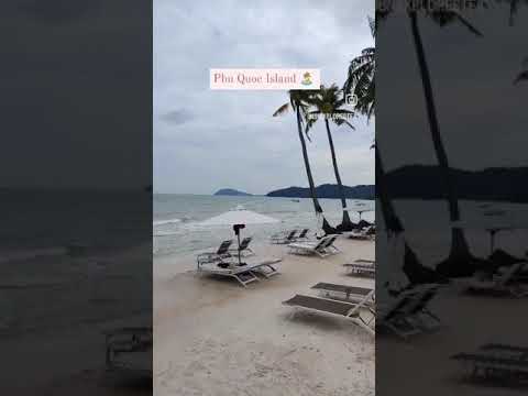 Phu Quoc Island. #shorts #traveling #vietnam #island #beach #cheers #beach #tan#happy
