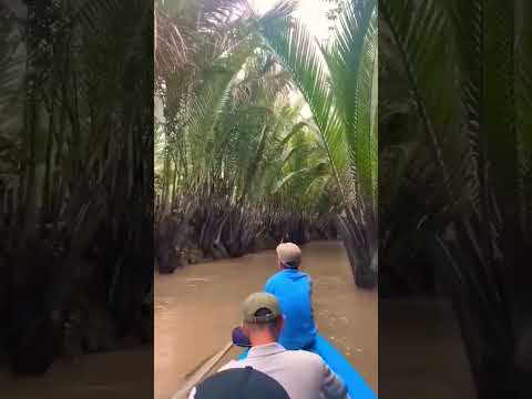 Vietnam Boat Tour Hack: See the Mekong Delta Like Never Before in 5 Seconds #shorts