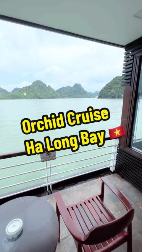 #orchidcruise #halongbay #cruise #vietnam #traveltiktok #travel #catbaisland 