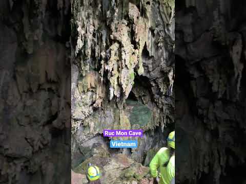 Ruc Mon Cave, Phong Nha #shorts #shortsfeed #vietnamtravel #viralshortsvideo #shorts_ #shortvideo