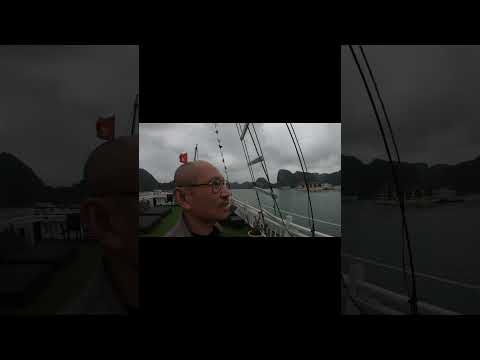 Halong Bay Night and Morning #halongbay #vietnam #comics  #travel #covid19 #shorts