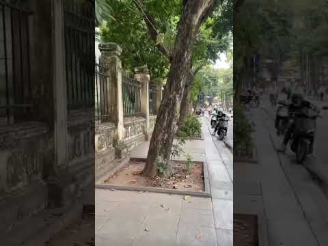 Exploring Hanoi, Vietnam #hanoi #vietnam #shorts