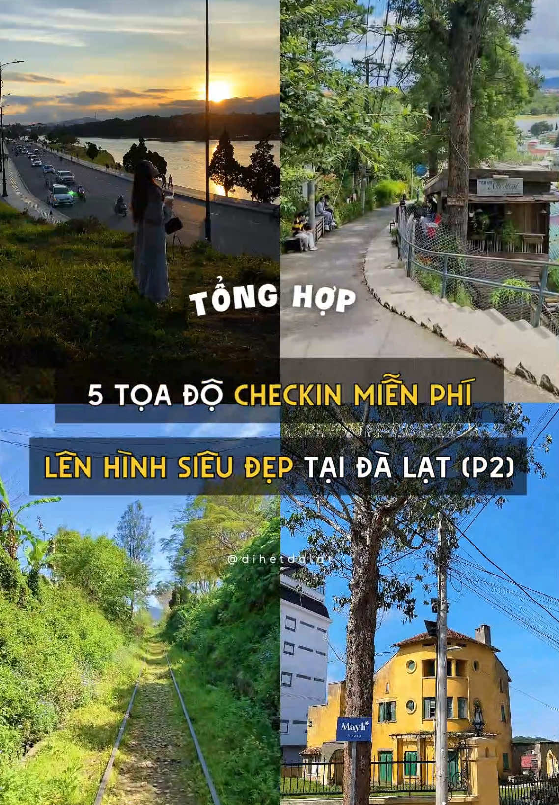 5 toạ độ check-in miễn ph&iacute; tại Đ&agrave; Lạt  (P2)📸 #dihetdalat #dalat #chill #bttravel #dulichdalat #traveltiktok #dulichvietnam #checkindalat #checkinmienphi #reviewdalat 
