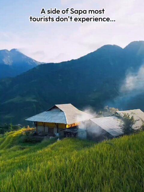 Is Sapa touristy? Yes. Is there still a lot of heart? Also yes, if you know where to look! We discovered one of the most heartfelt Seek Sophie experiences here: a Hmong cooking class hosted by a local couple, Gio and Hoa, in their beautiful hillside home. Unlike many other &ldquo;Hmong cooking classes&rdquo; that focus more on mainstream Vietnamese dishes like pho or spring rolls (which aren&rsquo;t authentic Hmong food), Gio and Hoa&rsquo;s is just them, in their own home, cooking the food they grew up with and sharing a piece of their life with you. We started by walking through their garden, picking herbs and veggies we&rsquo;d later use in the dishes. Then we cooked together, laughed over our questionable chopping skills, and sat down to eat family-style, just the four of us around the table with homemade rice wine and swapping stories. And the views were honestly unreal. We still can&rsquo;t get over what it must be like to have that in your backyard. It was cosy and warm and stunning all at once, and is easily one of the best things we&rsquo;ve done in Sapa 🥹 If you&rsquo;re looking for the Sapa that still has heart, this is it ❤️ Link in bio to book this Seek Sophie experience! 🎥 @justwaddo