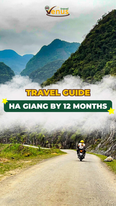 Ha Giang hits different in every month 🌄 From misty mornings to golden rice terraces - which month is your favorite? 👉 DM us to plan your Ha Giang Loop ✨ #vietnamtravel #vietnamtourism #thingstodoinvietnam #hagiangloop #hagiang 