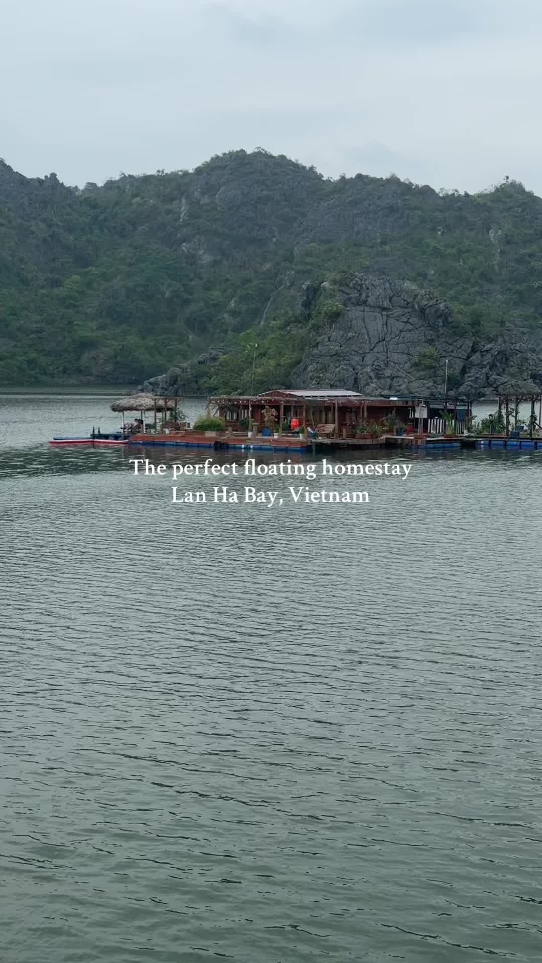 Un petit coin de paradis, chez Lan Ha floating homestay☀️  #catbaisland #lanhabay #vietnam #logementinsolite #romantic #honeymoon 
