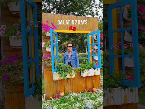 2 Days in Dalat, Vietnam: Must-See Attractions!🇻🇳 Use promo GREENLEILA5 on Klook for discount!