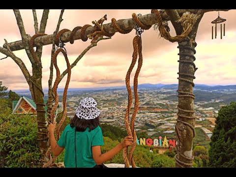 Things to do in Da Lat #Shorts