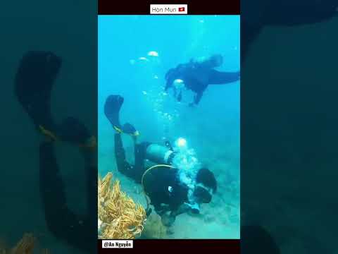 #Shorts #Vietnam #Travel #Nhatrang #Scubadiving - Lặn b&igrave;nh kh&iacute; H&ograve;n Mun - Nha Trang