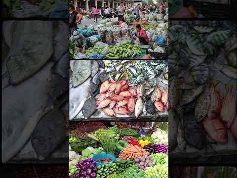 SAKIMA TRAVEL: A Taste of Hoi An: Cooking Class with a Local