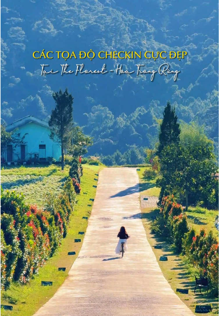 Bạn c&oacute; muốn lạc bước giữa rừng hoa, để nắng dịu d&agrave;ng &ocirc;m lấy b&oacute;ng h&igrave;nh, để sắc hoa nhuộm l&ecirc;n những khoảnh khắc thật thơ? Vậy th&igrave; hẹn bạn một ng&agrave;y đẹp trời gh&eacute; The Florest checkin nha! #theflorest #hoatrongrung #dalat #vuonhoalonnhatdalat #xuhuong 