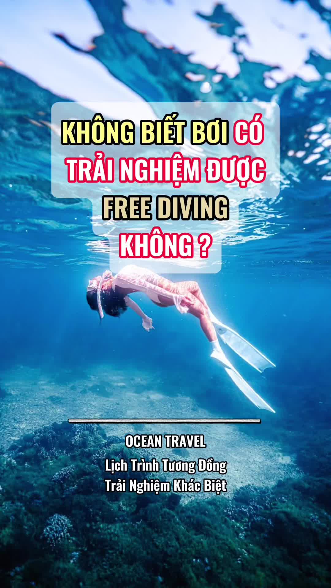 Nhiều kh&aacute;ch muốn đi tour, kh&ocirc;ng biết bơi, những  vẫn muốn Trải nghiệm free diving như ở Ph&uacute; Quốc v&agrave;o qu&yacute; th&igrave; mọi người h&atilde;y v&agrave;o để xem hết video nh&eacute; ##dulichnhatrang##freediving##freedivingnhatrang##honmunnhatrang##snokelingnhatrang##tourdaoriengnhatrang##honmun##privatetour##oceantravel