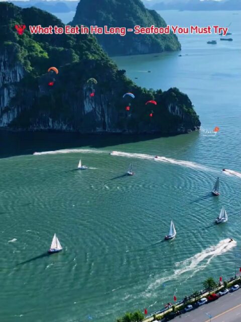 🦞 What to Eat in Ha Long &ndash; Seafood You Must Try Ha Long Bay is not only famous for its stunning limestone landscapes &mdash; it&rsquo;s also a paradise for seafood lovers. Thanks to its rich coastal waters, the region offers incredibly fresh ingredients and unique local specialties you won&rsquo;t want to miss. If it&rsquo;s your first time here, start your culinary journey with these must-try dishes: 🦑 Cha Muc (Ha Long Squid Cakes) One of the most iconic dishes in Ha Long. Fresh squid is hand-pounded, lightly seasoned, and deep-fried until golden and crispy. Best enjoyed with sticky rice or dipped in chili sauce &mdash; simple, but incredibly flavorful. 🦐 Mantis Shrimp (Be Be) Sweet, tender, and packed with flavor, mantis shrimp can be steamed, grilled, or stir-fried with garlic and chili. Locals love it for its natural sweetness and firm texture. 🐚 Ngan (Aromatic Clams) A unique Ha Long specialty often used in soups or grilled with scallion oil. Some restaurants even serve ngan wine &mdash; a bold local delicacy for adventurous food lovers. 🦪 Fresh Oysters Served raw with lime, grilled with cheese, or baked with garlic butter &mdash; Ha Long oysters are plump, juicy, and incredibly fresh thanks to the clean coastal waters. 🪱 Sa Sung (Dried Sandworm) A rare and premium ingredient found mostly in Quang Ninh province. Often grilled or used to enrich broths, it&rsquo;s known for its naturally sweet and umami flavor. 🍽️ Where to Enjoy Seafood in Ha Long You can taste these dishes at local seafood restaurants, traditional markets, or onboard cruises where chefs combine fresh catches with Vietnamese and international styles. Dining by the sea &mdash; or on a cruise deck &mdash; makes the experience even more memorable. ✨ Ha Long&rsquo;s seafood isn&rsquo;t just about eating &mdash; it&rsquo;s about experiencing the flavors of the ocean, fresh from the source. 📍 Planning a food-focused trip? Travel Center can help you design a Ha Long journey filled with authentic cuisine, beautiful views, and unforgettable moments. #traveltiktok #travelvietnam #vietnam #travel