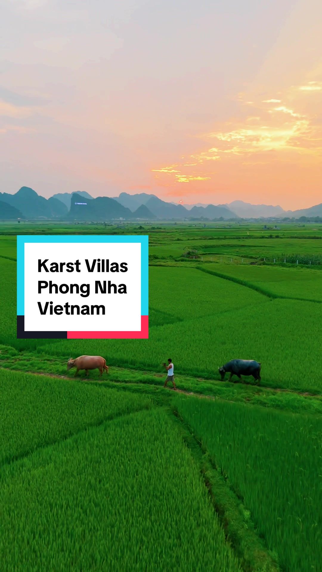 ✨ Discover the hidden gem of Phong Nha, Vietnam at the beautiful Karst Villas! This stunning hotel offers breathtaking views overlooking lush rice fields and majestic mountains like the mighty Annamite Range. 🌄🍃  For just &pound;31 a night, you get a delicious &agrave; la carte breakfast included to kickstart your day. Perfectly situated for exploring all the local wonders, the cozy rooms even feature bathtubs with panoramic views! 🛁💖  And don't forget to catch the mesmerizing sunsets from the pool &ndash; it's the perfect way to unwind after a day of adventure. 🌅 Tag your travel buddy, and let&rsquo;s get lost in nature! 🌍✈️ #KarstVillas #PhongNha #VietnamTravel #TravelGoals #NatureLovers #RiceFields #MountainViews #LuxuryStay #PoolSunset #TravelVietnam #AdventureAwaits #ExploreMore #Wanderlust #TravelInspo #TikTokTravel #creatorsearchinsights 