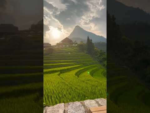 Don&rsquo;t miss this gorgeous lodge in Sapa, Vietnam! #travel #views #shorts