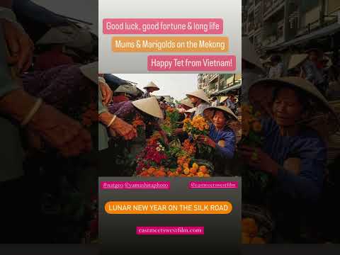 How Vietnamese celebrate Lunar New Year? Flower fest! Mekong Mums & marigolds!  @eastmeetswestfilm
