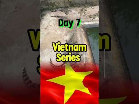 Mekong Delta Trip in Vietnam 🇻🇳 #shorts