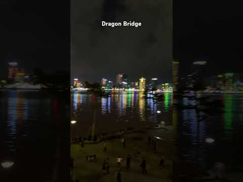 Night life, Da Nang #dragonbridge #danang #vietnam #vietnamtravel #shorts #nightlife #travel #view
