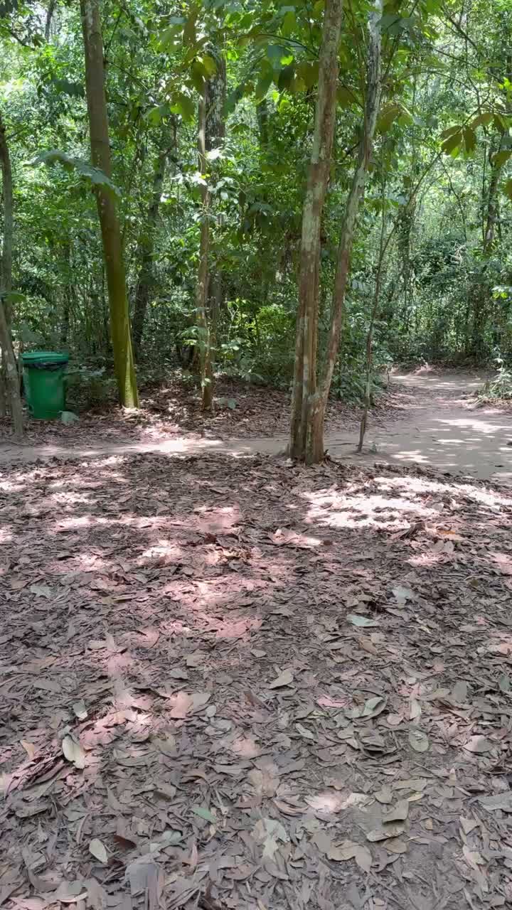 If you still hesitate over what to do in Vietnam, you will opt for KIMTRAVEL and book a one-day Mekong Delta tour and Cu Chi tunnels after watching this clip 😊😊😊#KIMTRAVEL #luxurytours #mekongdelta #customerreviews