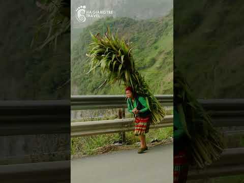 Mã Pì Lèng - Vua của c&aacute;c cung đ&egrave;o tại H&agrave; Giang #Short #shorts