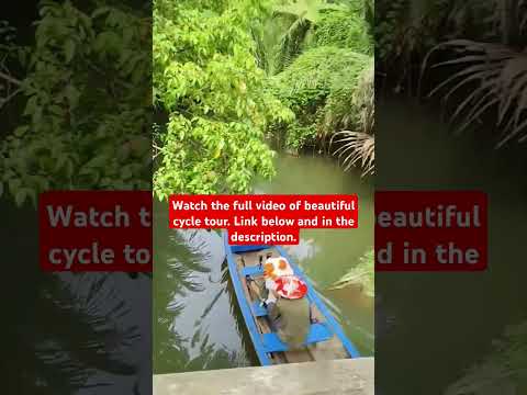 🚴Cycle tour 🚴 - Scenic tropical village in Mekong Delta😍 #shorts #short #shortsfeed #travel #nature