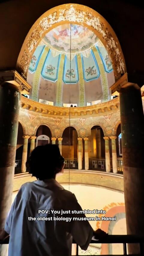 Discover a hidden gem: Hanoi&rsquo;s oldest and most historic biological museum ❤️ #hanoi  #vietnamtravel  #vietnamtrip  #onlyinvietnam  #oldmuseum 