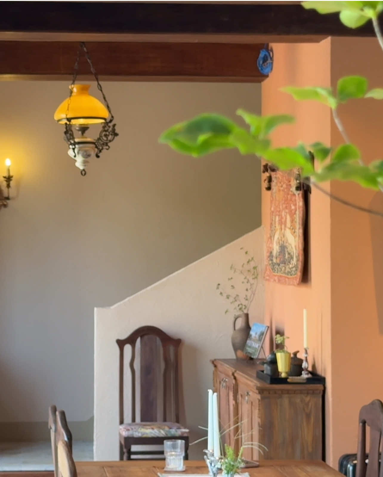 Một buổi s&aacute;ng loanh quanh trong nh&agrave; 🍃 #Anoihome #Anoihoian #hoian #homestay #homestayinhoian          