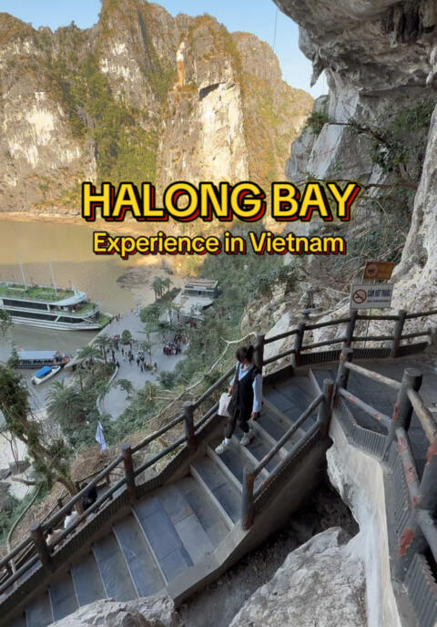 My Halong Bay Experience in Vietnam Book your hotel & activities via klook and use my klook promo code for a discount:  LAKWACHERUKLOOK #vietnam #halongbay #halongbayvietnam #fyp #fypage #fyppppppppppppppppppppppp #fypp #foryou #foryoupage #travel #hanoi #hanoivietnam #halongbaycruise #traveltok #cruise #halongbaycruise 