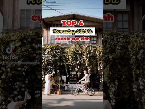 #shorts #homestay C&aacute;t B&agrave; sịn b&egrave;o lắm n&egrave; #CatBa