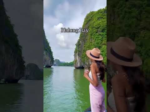 Best Family & Friend Day Trips and Activities in Vietnam 178 Places To Visit In Vietnam #travel #shorts #india #travelblogger #vietnam