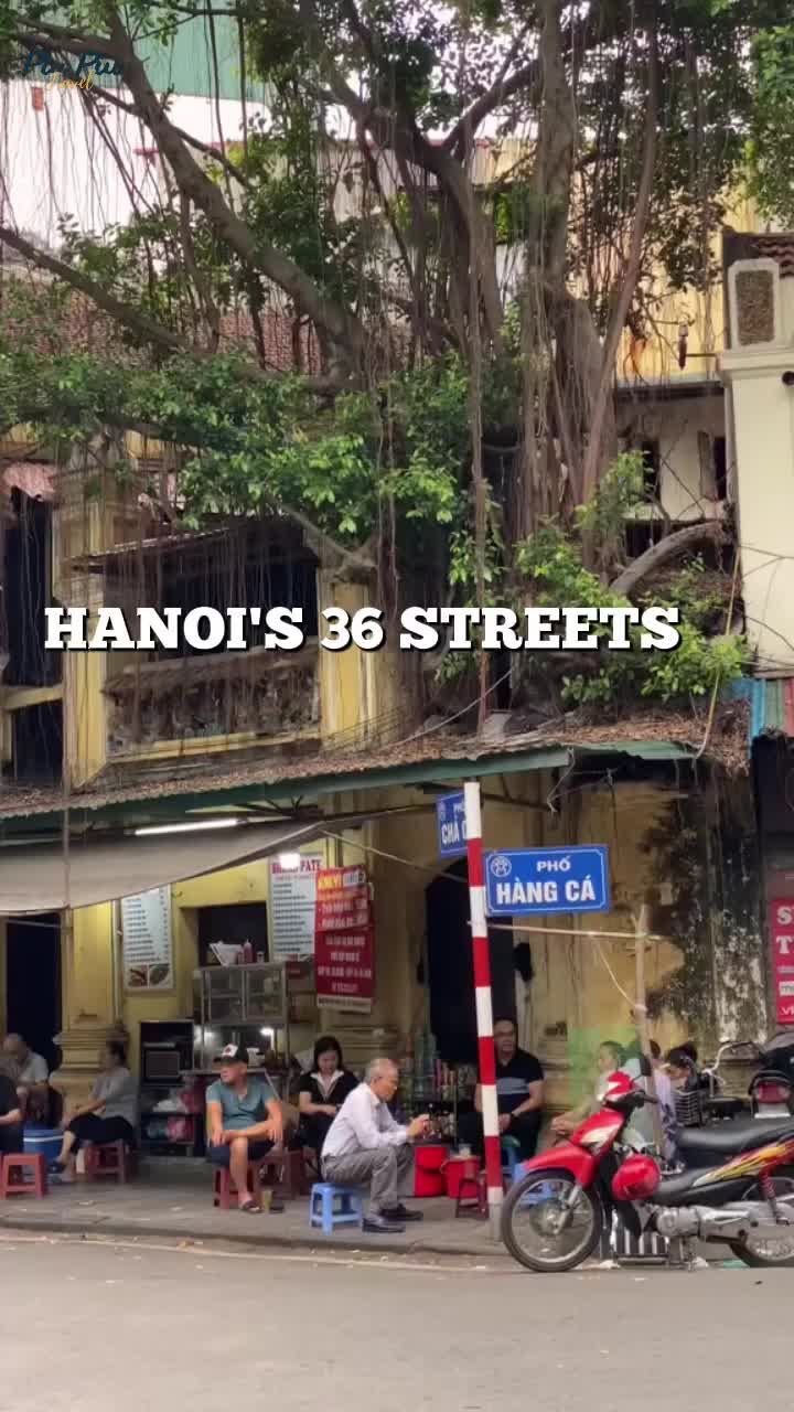 List of 36 Streets in Hanoi Old Quarter #fyp #viral #piupiutravel #hanoi #vietnamtravel #travelvietnam