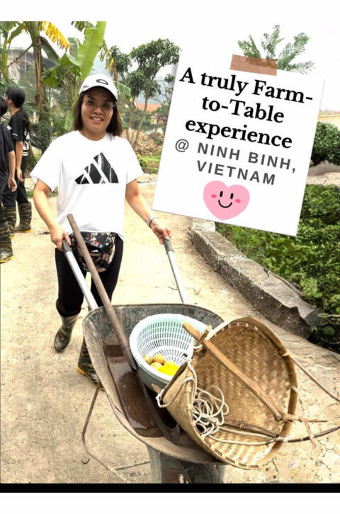Trang An Farmhouse & Cooking Class We worked, harvested, and even caught our own crabs in Ninh Binh 🌾🦀 A farm-to-table experience like no other. #NinhBinh #TrangAn #CookingClassvietnam #VietnamTravel #HiddenGemVietnam@Ninh Binh CookingClass 